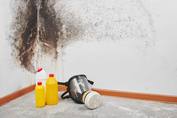 Best Crawl Space Mold Remediation in Claremont, NC