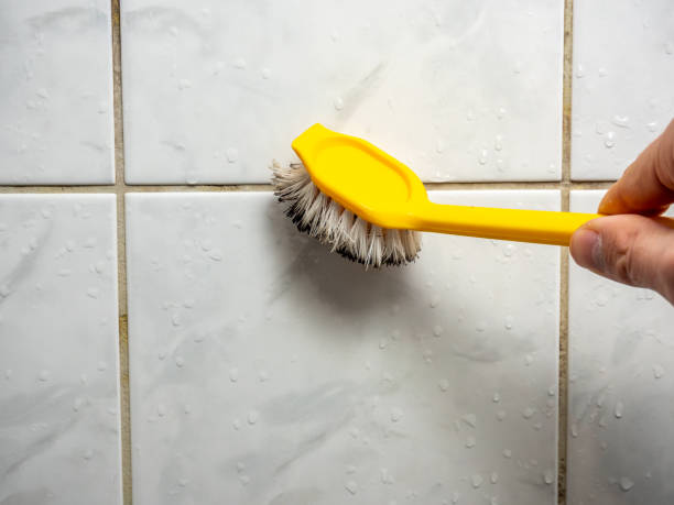 Best Commercial Mold Remediation in Claremont, NC